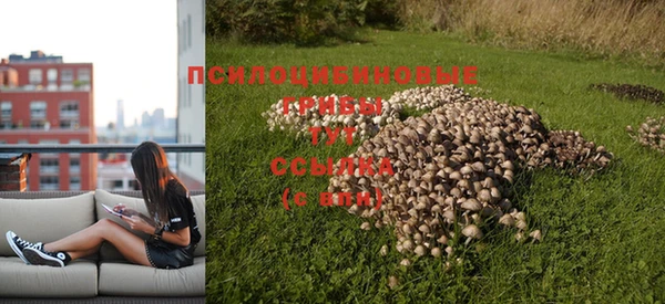 мескалин Арсеньев