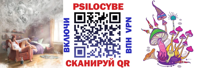 где найти Сковородино Псилоцибиновые грибы Psilocybine cubensis